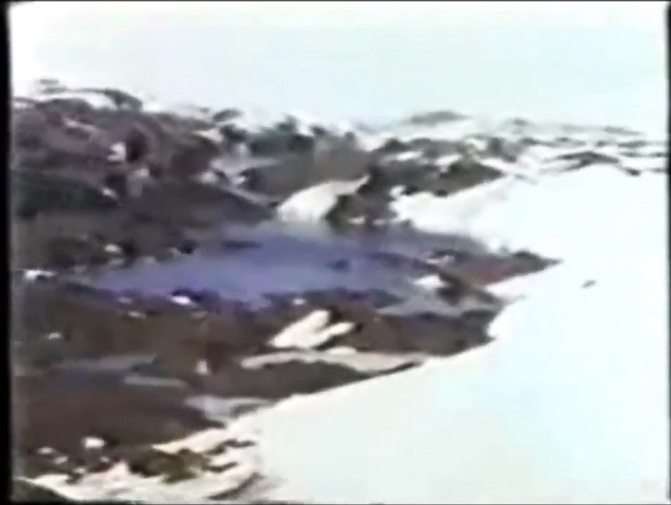 The Warm Freshwater Lakes of Antarctica