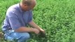 Farm Practices to Reduce Nitrate Loading to Shallow Wells