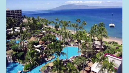 Thought Elevators Review - Takes the secret key to success