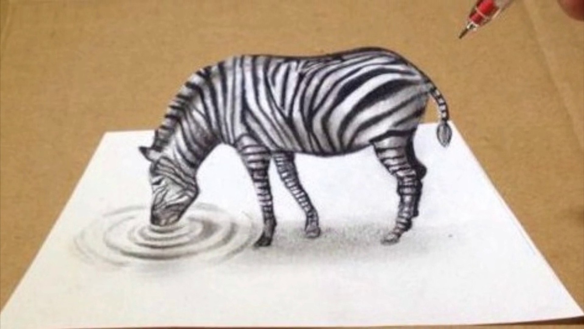 Trompe L œil En Dessin Le Zebre Video Dailymotion
