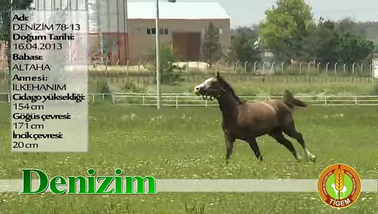 DENİZİM