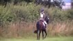 Future Illusion - First ever horse trials!!  Carlton BE90 Dressage - 25.07.09