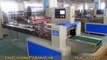 vegetable/fruit packaging machine,food tray packing machine