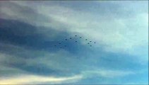 Saab JAS 39 Gripen formation flight