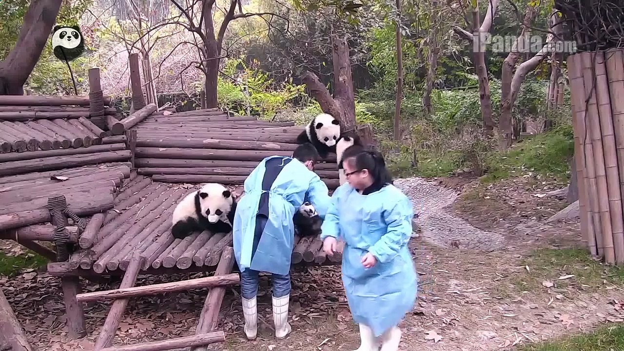 Piggy back ride