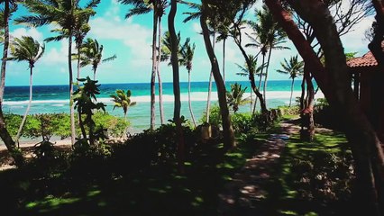 El Alfa - Yo Te Amo Tu Me Amas [Video Oficial by JcRestituyo]