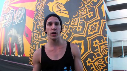 HOW TO BEGIN - Parkour or Freerunning ( Jesse La Flair )