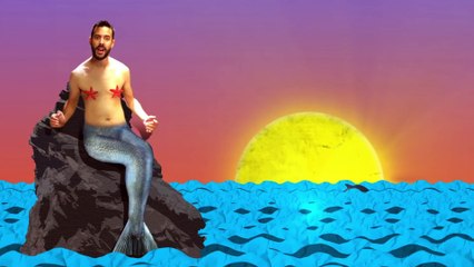 LES DAUPHINS COQUINS