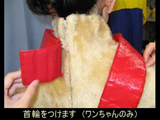 着ぐるみの着方～初級の動きに挑戦の巻～