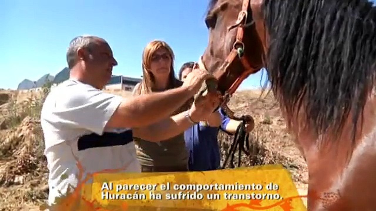 La mujer que susurraba a los caballos