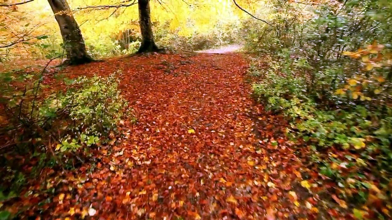 Otoño en el Nacedero del Urederra