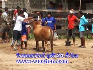 VCD 1.แดง กปปส.-โหนดเพชรผาทอง