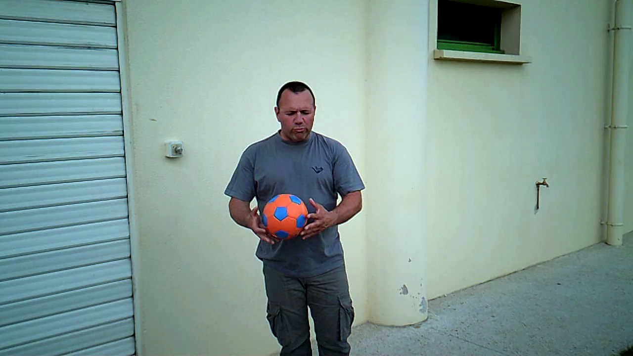 WHOLE BALL