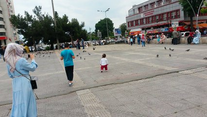 Zeynep Betül Samsunda güvercin kovalıyor 20150612