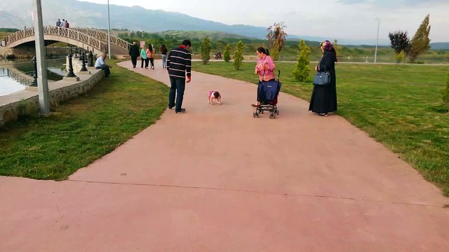 Zeynep Betül Park Vadide 20150516