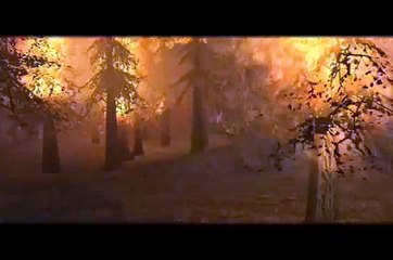 Vampire the Masquerade:  Bloodlines - Tzimisce vs. Werewolf