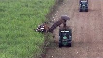 sugar cane harvester in australia