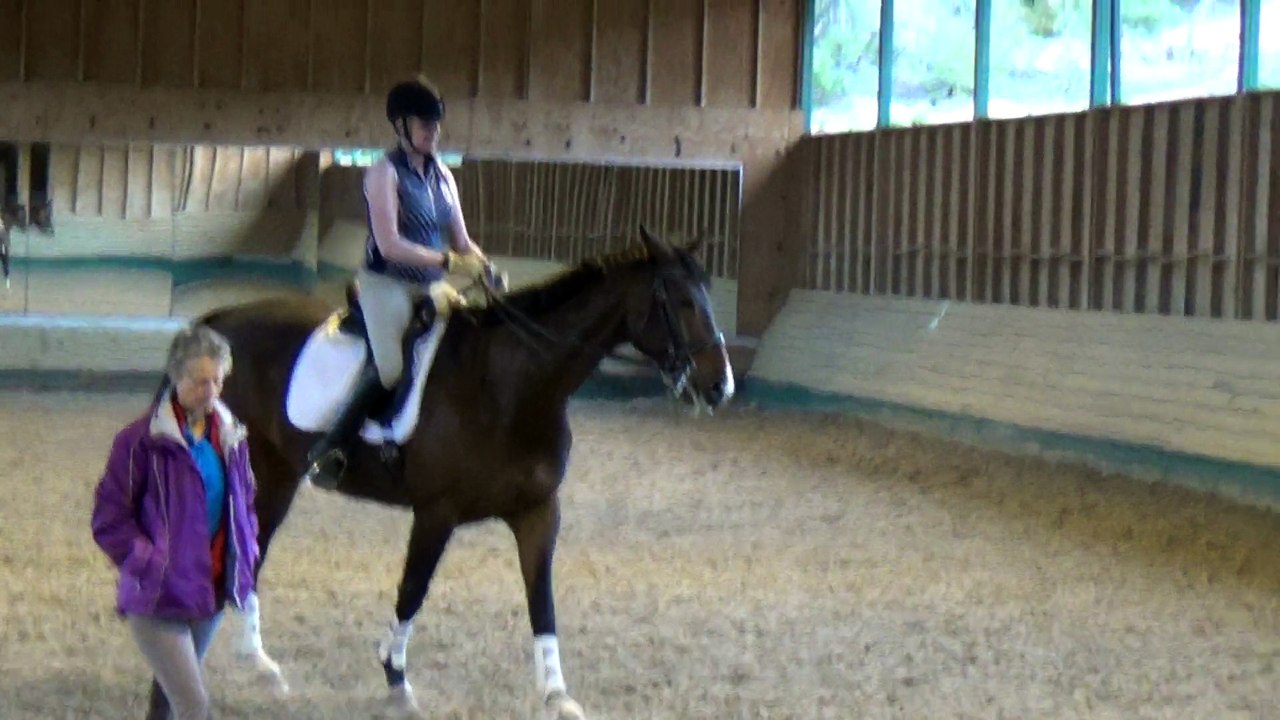 May 18, 2015 Mary Wanless, riding Bonito, struggling to go left