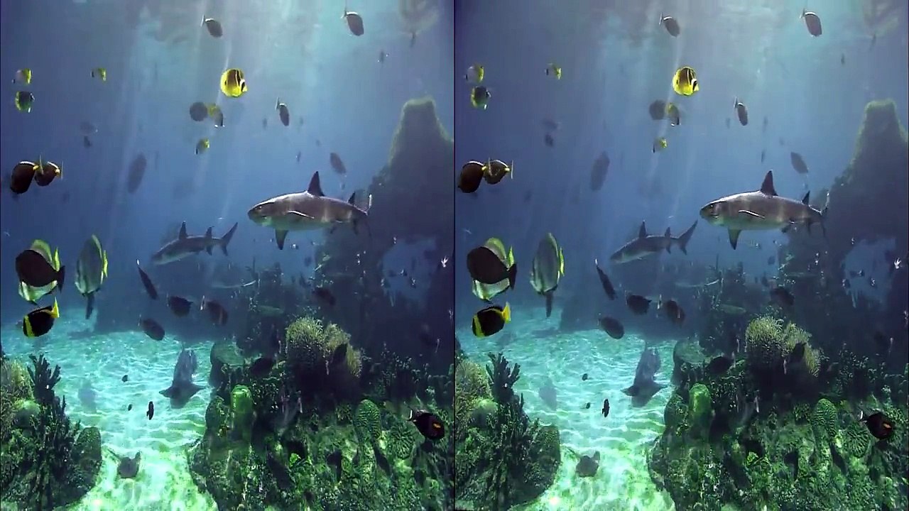 3D Samsung 【HD】 Demo