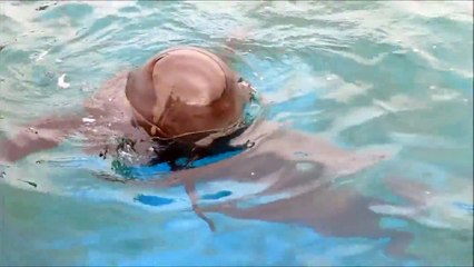 Back Stage at Seaworld - Sully the Pilot Whale