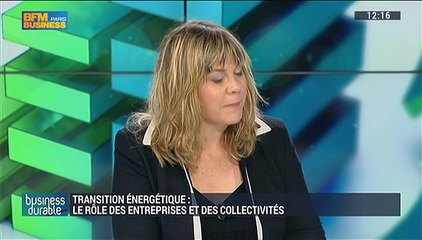 Quel rôle les entreprises jouent-elles dans la transition énergétique ?: Serge Lepeltier, Bernard Aulagne, Frédéric Lanoë et Fabrice Domange (2/4) – 05/07