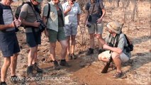 Anti Poaching Victoria Falls Zimbabwe