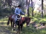 Colt Starting Day 10 - Ranch Riding - Cutting Edge Colts