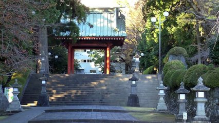 Nichiren Shoshu Buddhism Head Temple Taiseki-ji