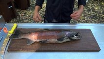 How To Fillet A Fish Fast - Fish And Deer Knife - Safety Knife