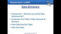 Learn SAP ABAP - SE11 Data Dictionary - Introduction
