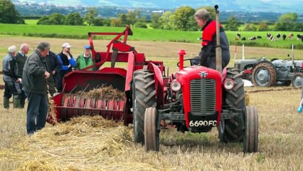MF 35x with Massey Ferguson 703 square baler.Baling straw at West Mains Farm