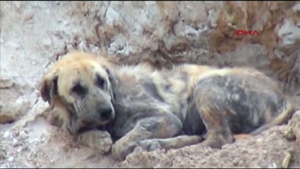 Çöp alanında yaşam savaşı