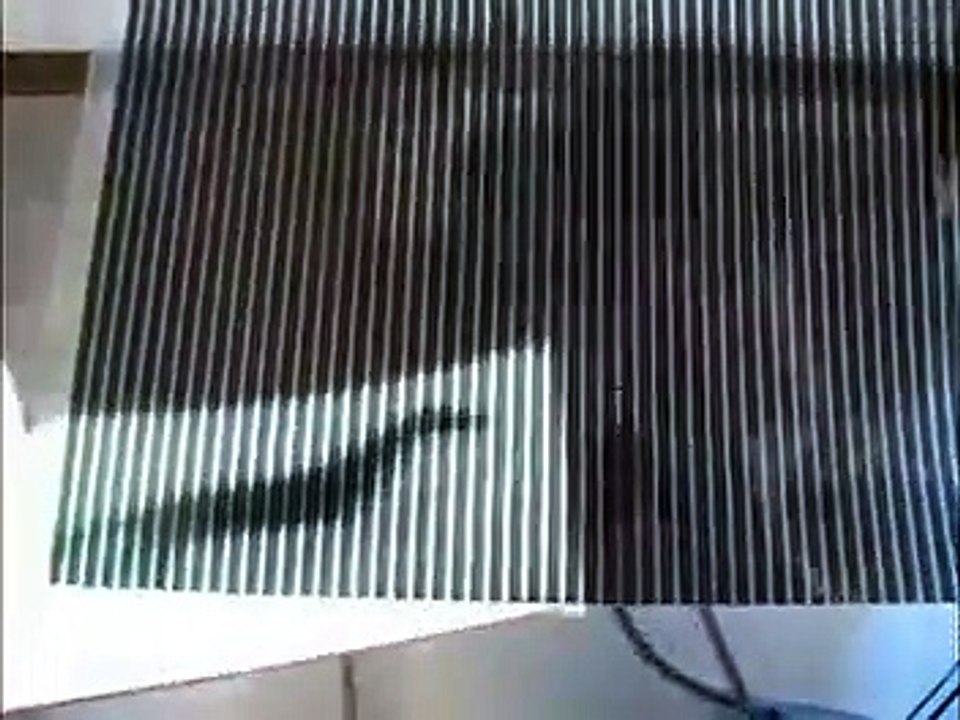 Amazing Animated Cartoon ...