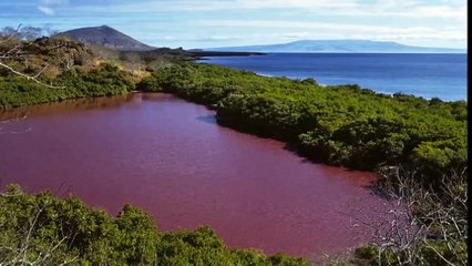 Underwater Volcano Erupts to Turn the Sea Blood Red and the Sky Grey with Ash