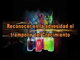 RESILIENCIA,  8o. CONGRESO RESILIENCIA MEXICO 2012