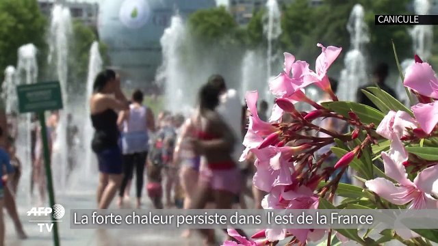 AFP - Le JT, 1ère édition du dimanche 5 juillet (version sous-titrée)