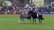 Caballo Peruano de Paso  I Concurso Nacional de Marinera a Caballo y a Pie Mamacona 2009