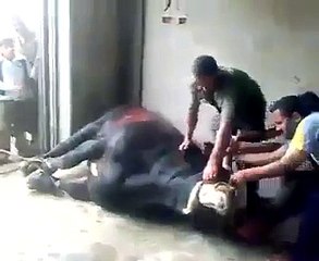 VID-20150705-WA0003.3gp