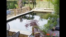 A must see heated Japanese KOI  Pond and Nexus Filter System Plus Ozone, 10,000