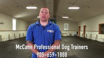 Full Money Back Offer From McCann Professional Dog Trainers