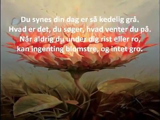 ♥♥♥DE NÆRE TING♥♥♥LENE SIEL