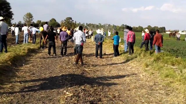Pelea en carreras de caballos