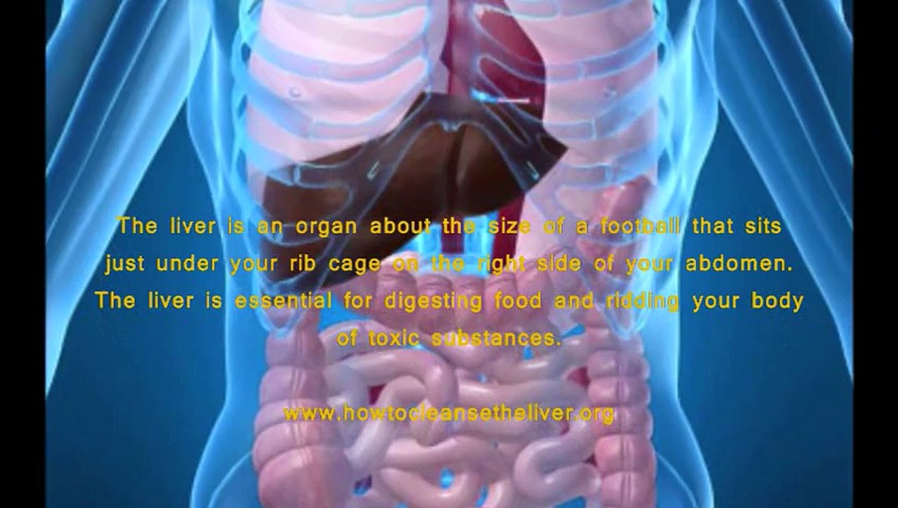 Symptoms For Liver Disorders And What Is The Best Treatment For Liver Disorders