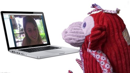 Alarme Foetale - Les livres personnnalisés My Zebra Book