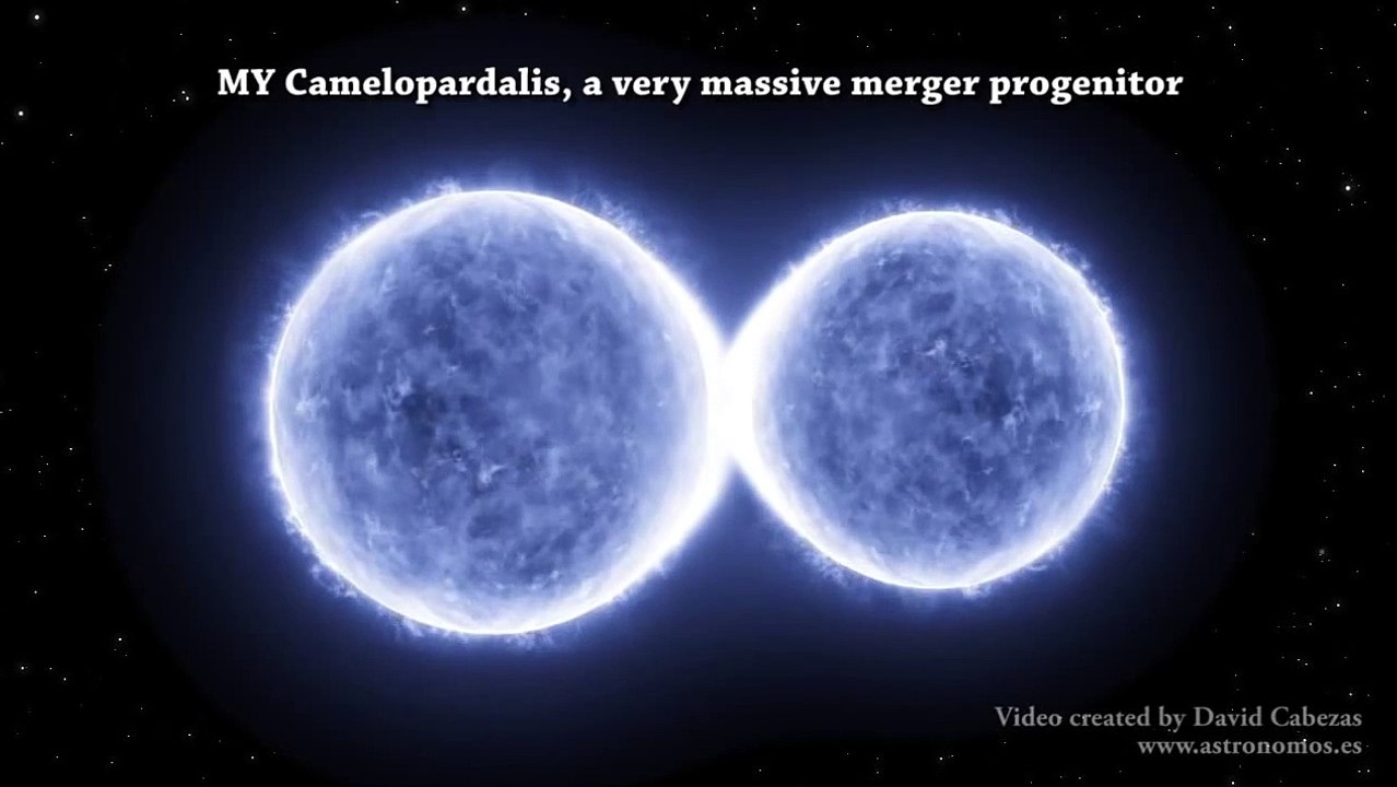 MY Camelopardalis, a very massive merger progenitor