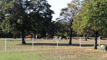 Luxury Horse Ranch FOR SALE