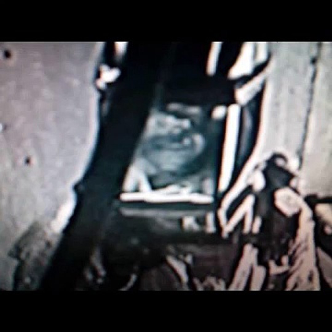 ⁣Reptilian Lizards & Demons (P2) Electromagnetic Photography
