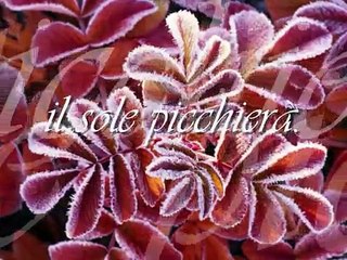 Amedeo Minghi - Edera