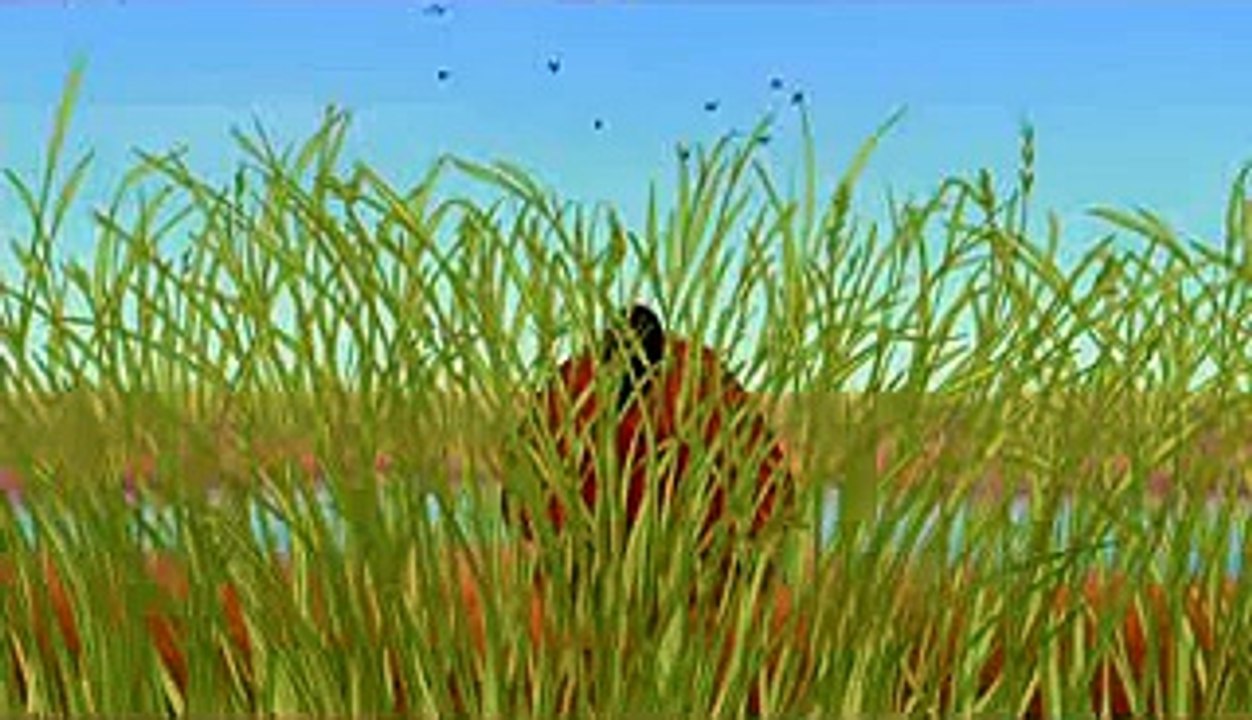 Timão e Pumba (Hakuna Matata)Pt