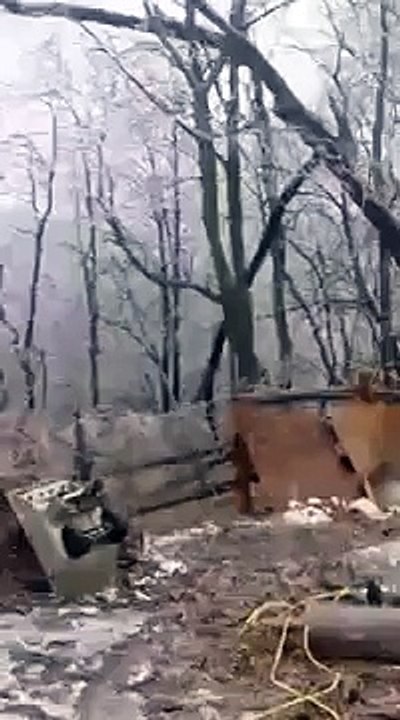 Power line sparks on tree   Enerji nakil hattında kısa devre ve ark